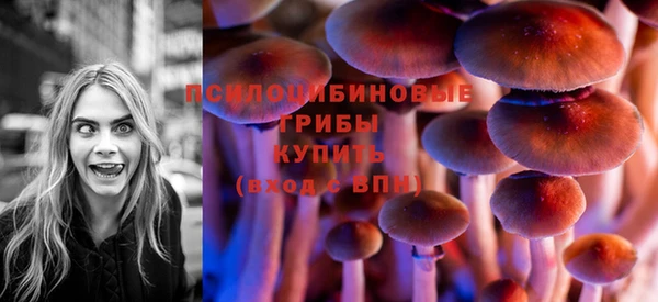 тгк Алексин